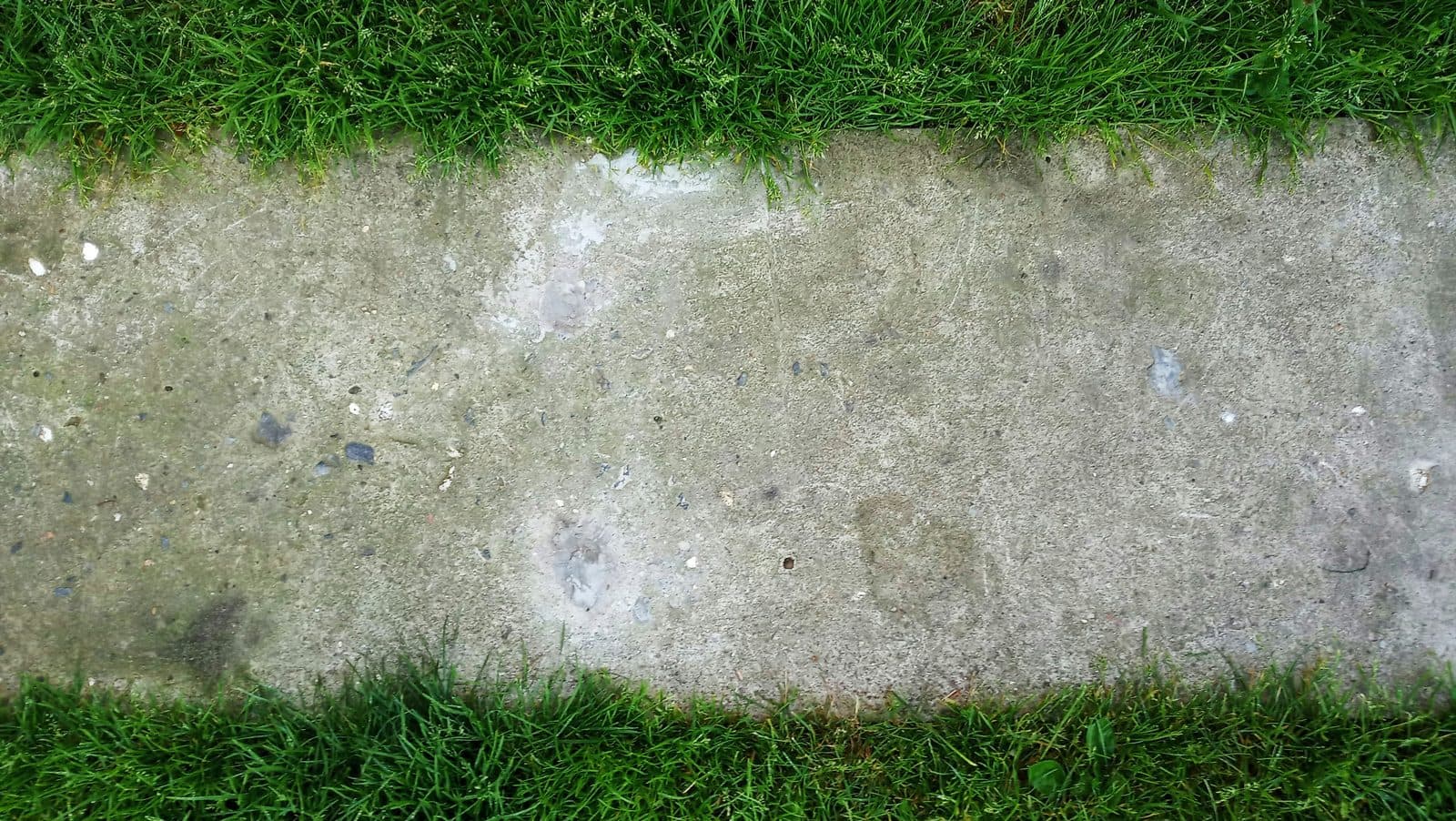 Clean edging along a concrete driveway in North Topsail Beach