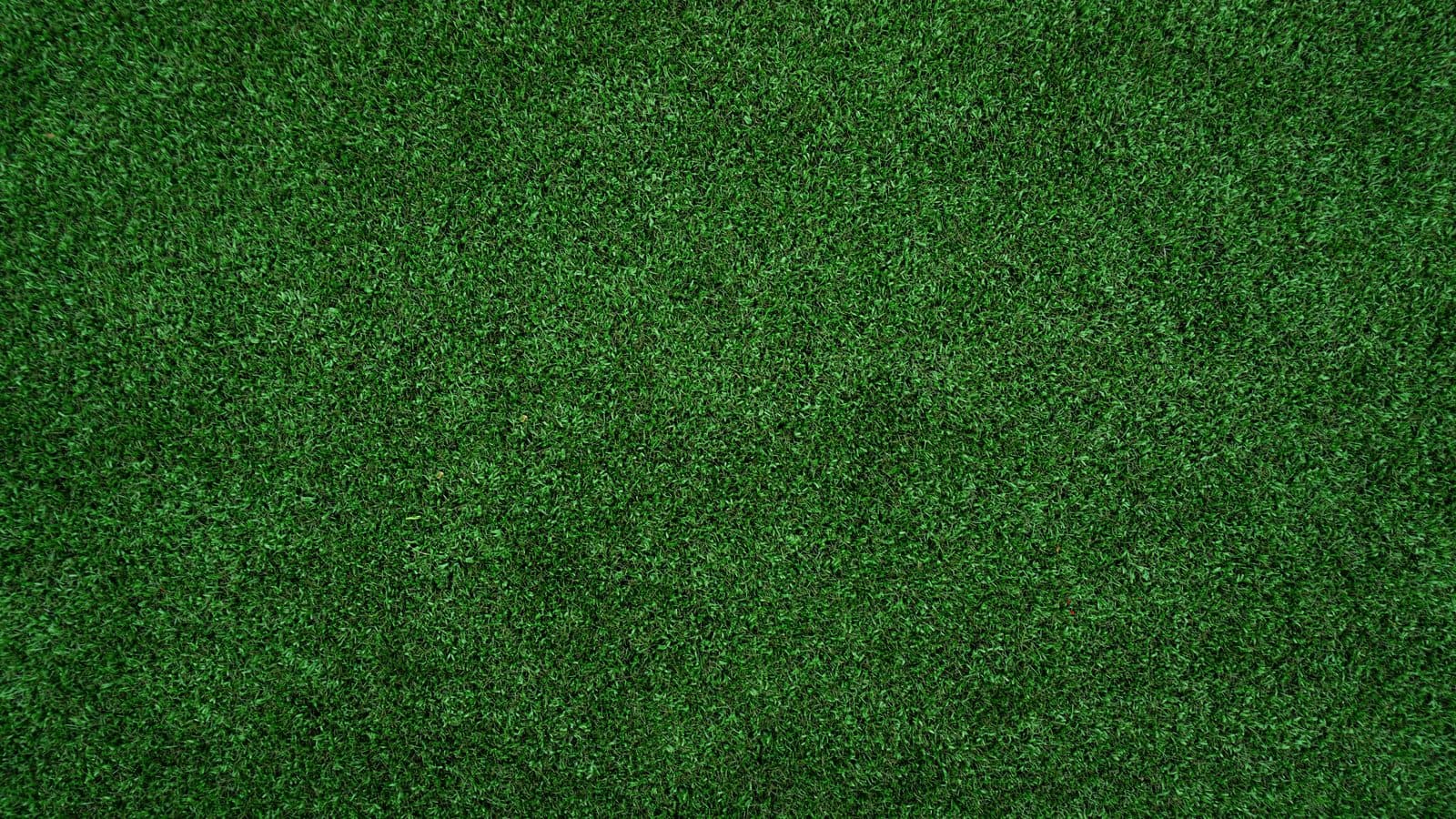Aeration & Overseeding — Surf Town Lawn Co.