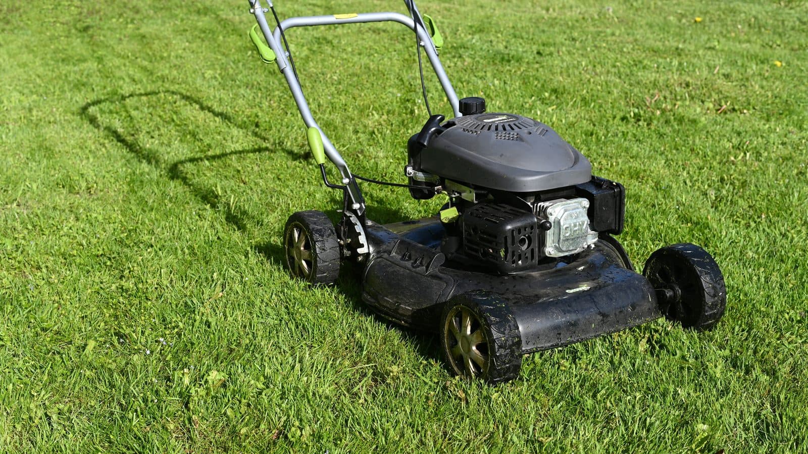 Full-Service Lawn Care — Surf Town Lawn Co.