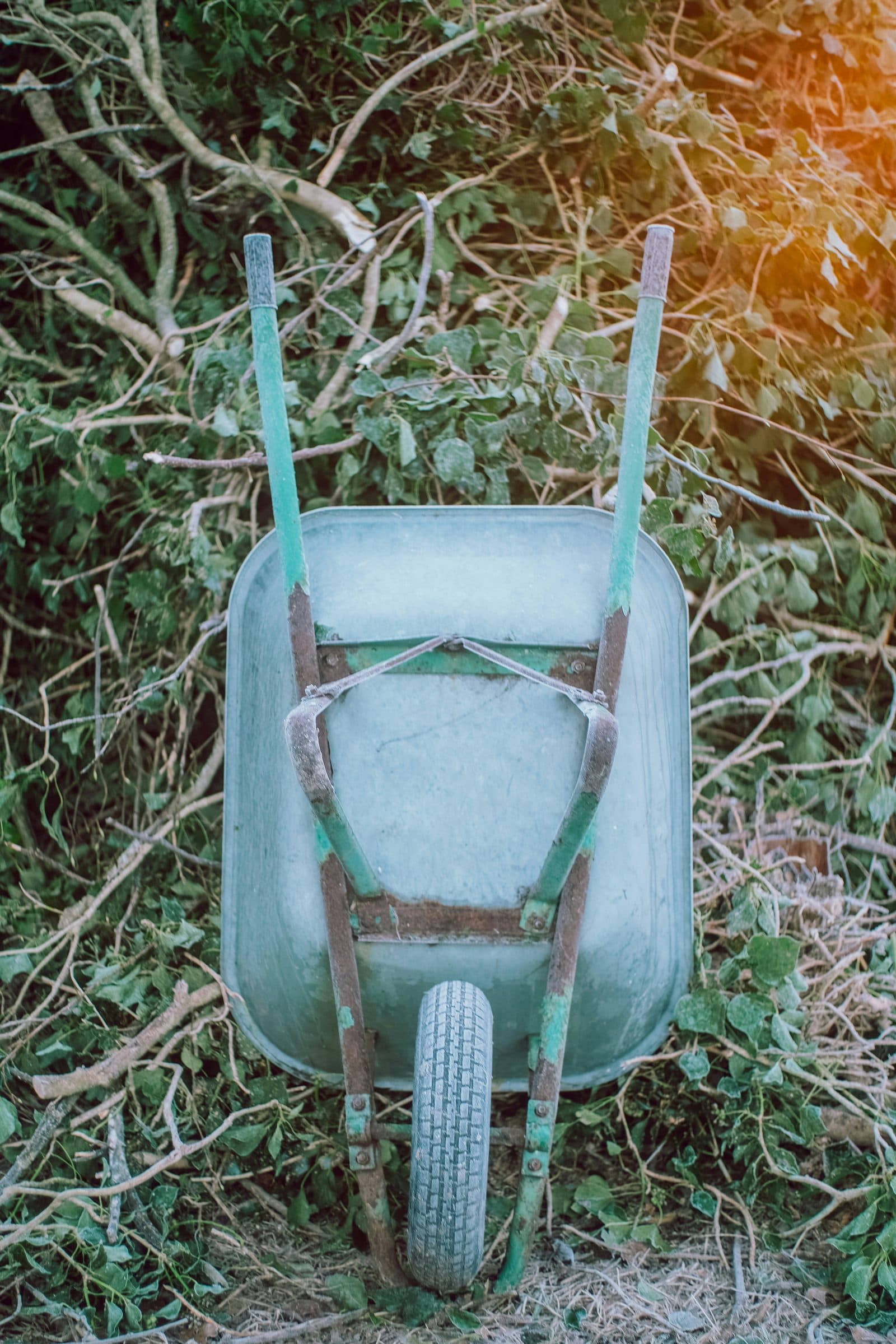 Seasonal Clean-Up — Surf Town Lawn Co.