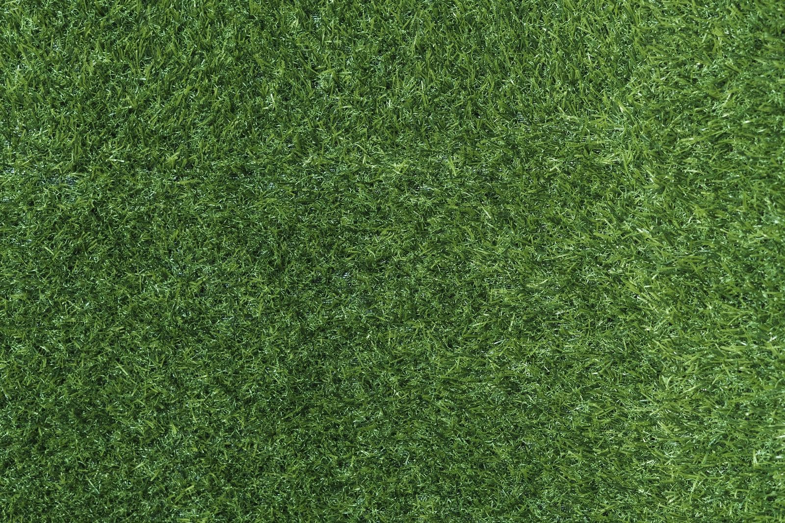 Sod Installation — Surf Town Lawn Co.